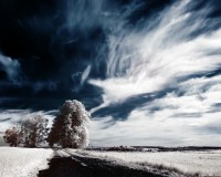/album/fantasy-landscape/winter-blau-weiss-schwarz-jpg/